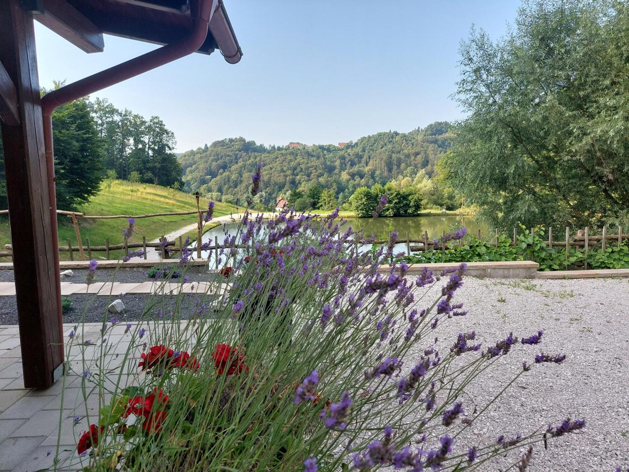 Zelena Oaza Bed & Breakfast Zgornja Kungota Екстериор снимка